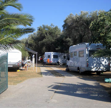 Owner Image